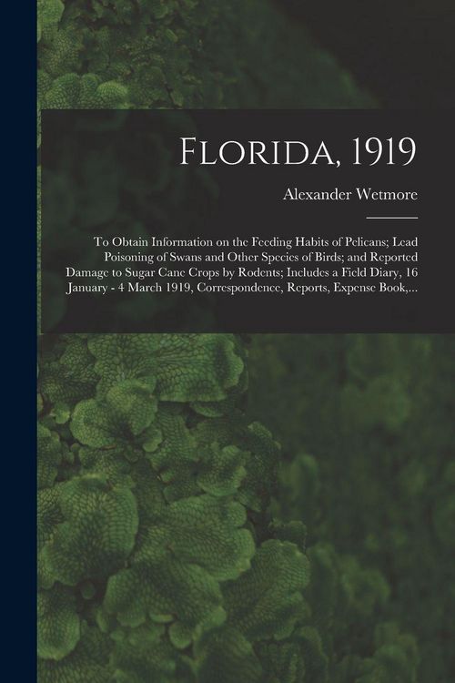 Produktbild: Florida, 1919