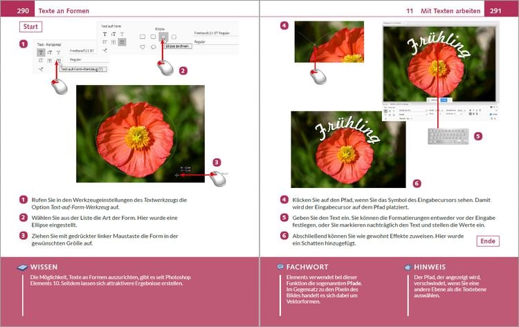 Produktbild: Photoshop Elements 2026 - Bild f&uuml;r Bild erkl&auml;rt
