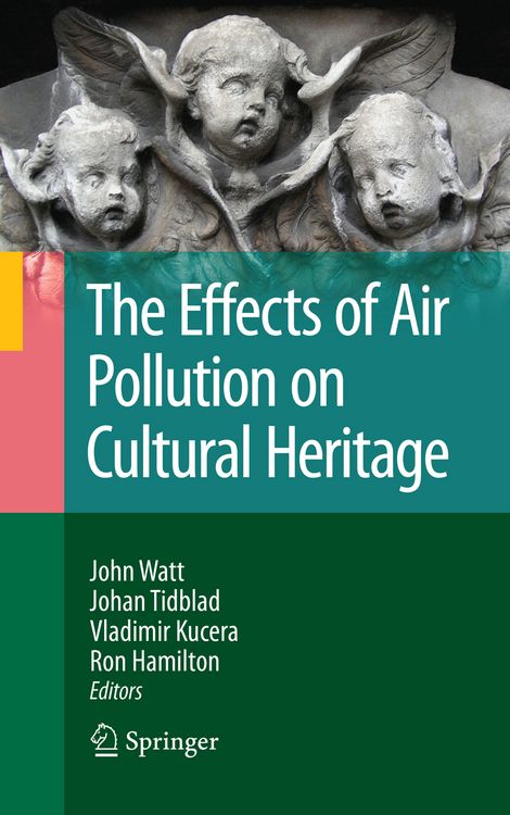 Produktbild: The Effects of Air Pollution on Cultural Heritage