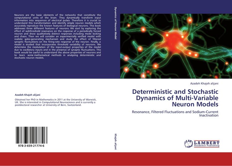 Produktbild: Deterministic and Stochastic Dynamics of Multi-Variable Neuron Models