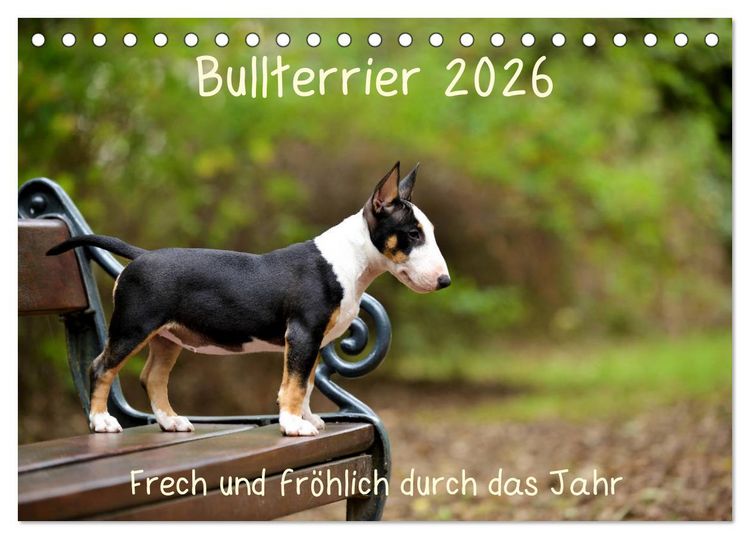 Produktbild: Bullterrier 2026 Frech und fr&ouml;hlich durch das Jahr (Tischkalender 2026 DIN A5 quer), CALVENDO Monatskalender