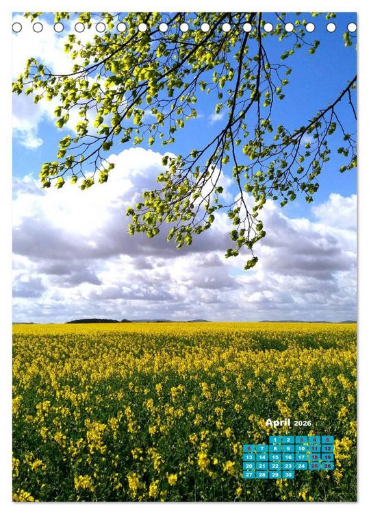Produktbild: Stille der Natur (Tischkalender 2026 DIN A5 hoch), CALVENDO Monatskalender