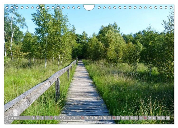 Produktbild: Pietzmoor - ein Hochmoor in der L&uuml;neburger Heide (Wandkalender 2026 DIN A4 quer), CALVENDO Monatskalender