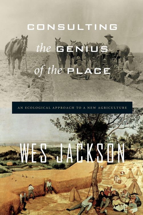 Produktbild: Consulting the Genius of the Place