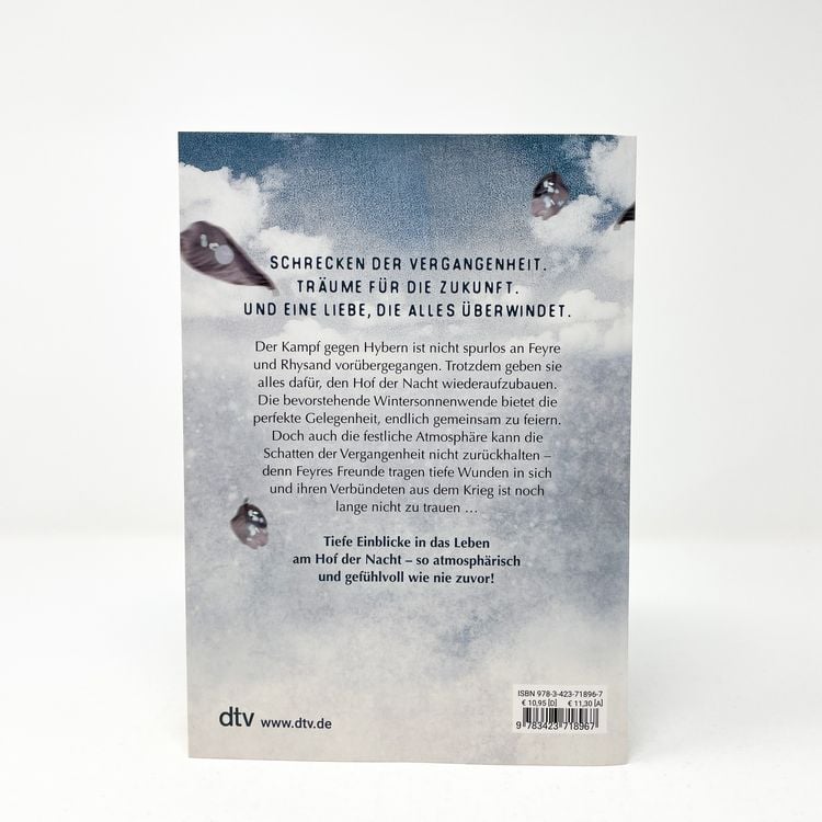 Produktbild: Das Reich der sieben H&ouml;fe &ndash; Frost und Mondlicht
