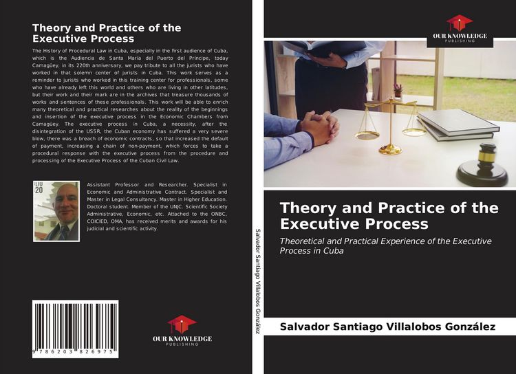 Produktbild: Theory and Practice of the Executive Process