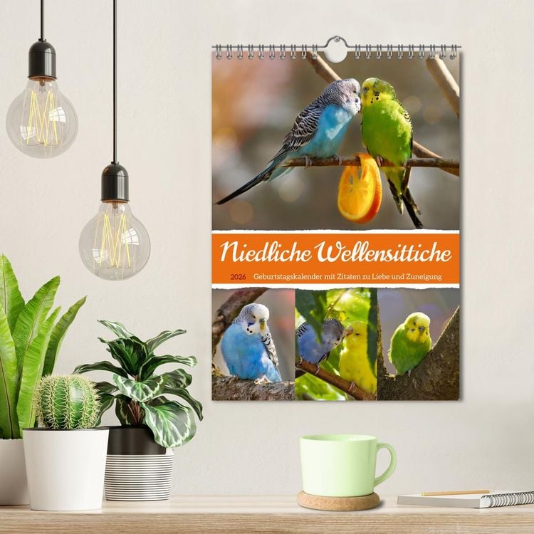 Produktbild: Niedliche Wellensittiche (Wandkalender 2026 DIN A4 hoch), CALVENDO Monatskalender