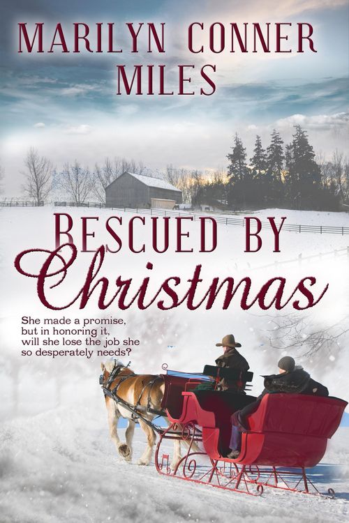 Produktbild: Rescued by Christmas