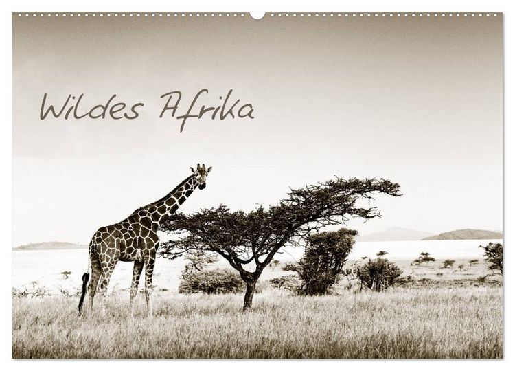 Produktbild: Wildes Afrika (Wandkalender 2026 DIN A2 quer), CALVENDO Monatskalender