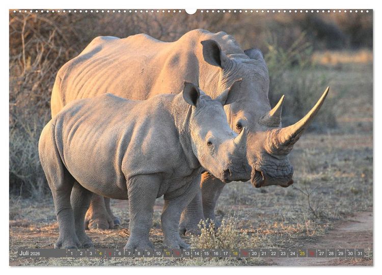 Produktbild: Wildtierparadies Afrika - Eine Foto-Reise durch die Savannen (Wandkalender 2026 DIN A2 quer), CALVENDO Monatskalender