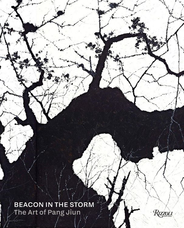 Produktbild: Beacon in the Storm