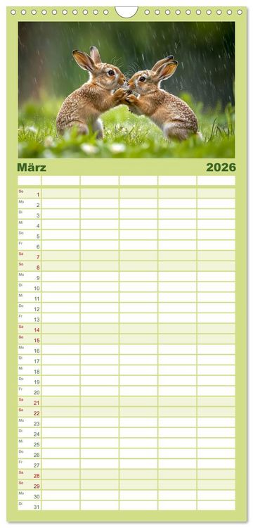 Produktbild: Familienplaner 2026 - Wilde Tierwelt im Wald mit 5 Spalten (Wandkalender, 21 x 45 cm) CALVENDO