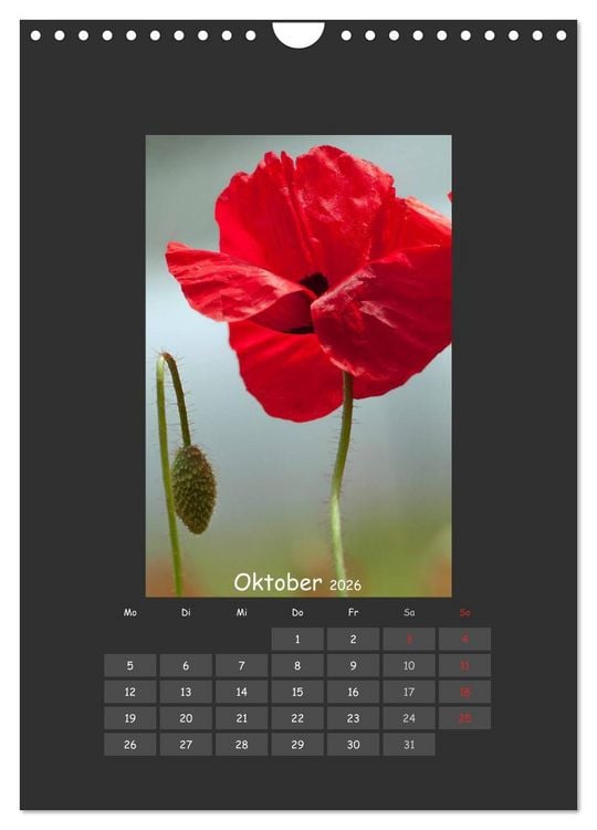 Produktbild: Mohn (Wandkalender 2026 DIN A4 hoch), CALVENDO Monatskalender