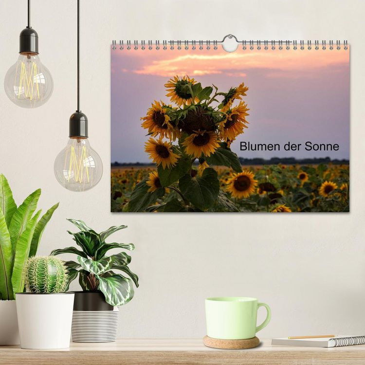 Produktbild: Blumen der Sonne (Wandkalender 2026 DIN A4 quer), CALVENDO Monatskalender
