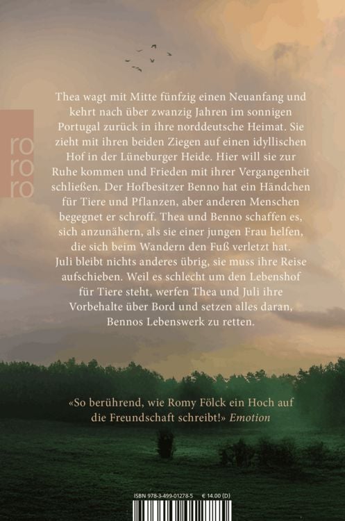 Produktbild: Das Licht in den Birken