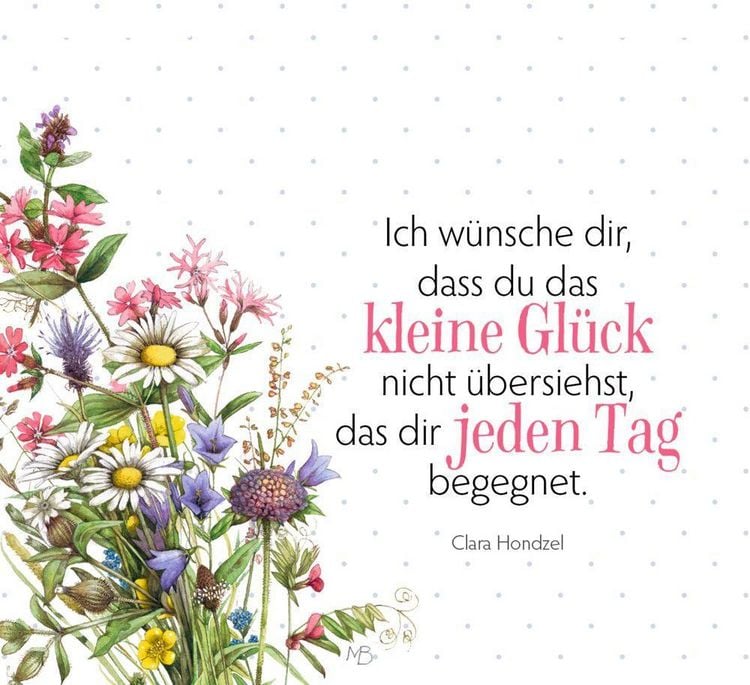 Produktbild: Momente voller Lebensfreude
