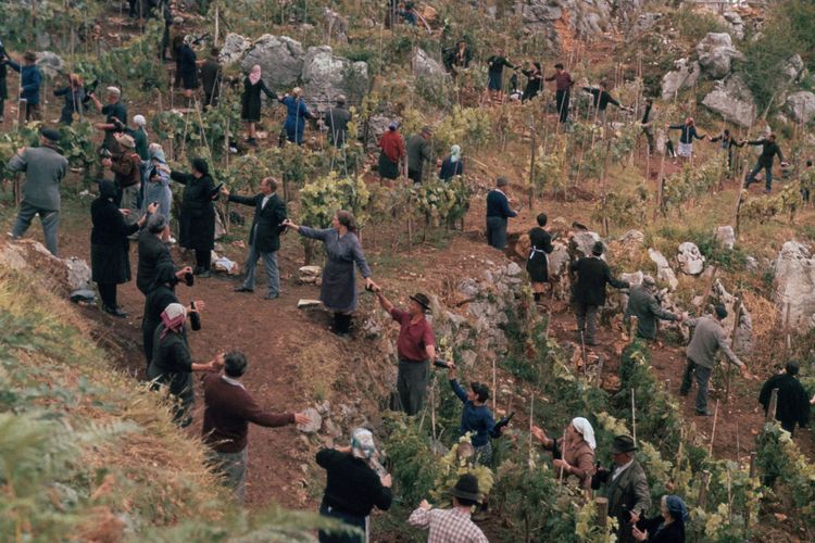 Produktbild: Das Geheimnis von Santa Vittoria - Extended Kinofassung (digital remastered)