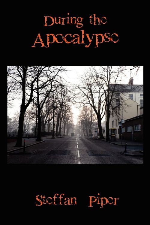 Produktbild: During the Apocalypse