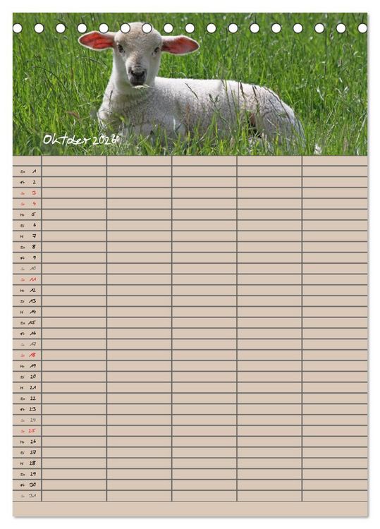 Produktbild: Der bel&auml;mmerte Familienplaner (Tischkalender 2026 DIN A5 hoch), CALVENDO Monatskalender