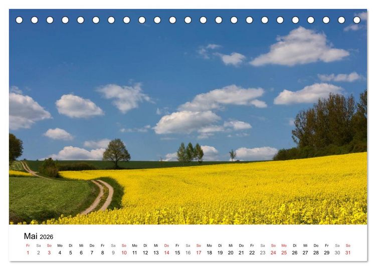 Produktbild: Rapsodie (Tischkalender 2026 DIN A5 quer), CALVENDO Monatskalender