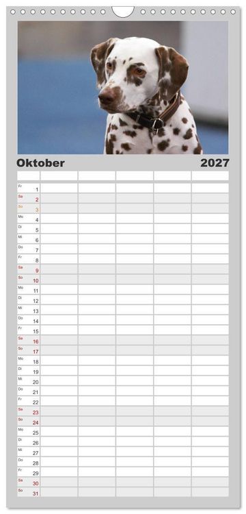Produktbild: Familienplaner 2027 - Gefleckte Freunde - Hunderasse Dalmatiner mit 5 Spalten (Wandkalender, 21 x 45 cm) CALVENDO