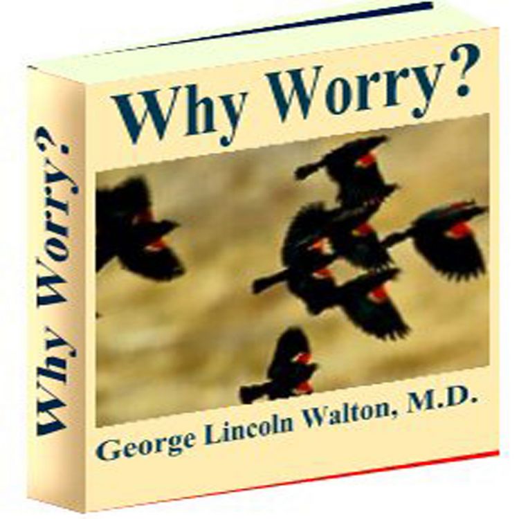 Produktbild: Why Worry