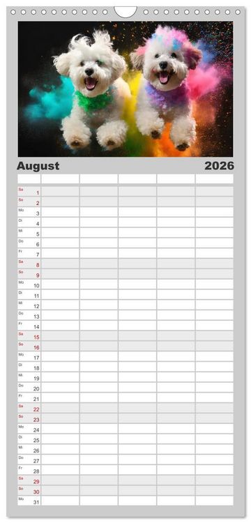 Produktbild: Familienplaner 2026 - Holi Pulver - Doppelte Action mit 5 Spalten (Wandkalender, 21 x 45 cm) CALVENDO