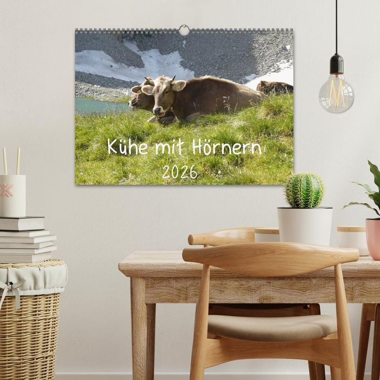 Produktbild: K&uuml;he mit H&ouml;rnern (Wandkalender 2026 DIN A3 quer), CALVENDO Monatskalender