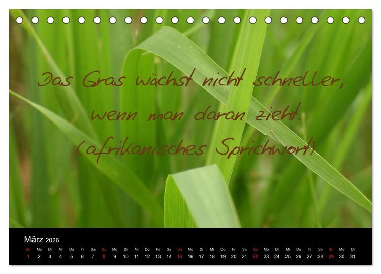 Produktbild: Positiv durch&acute;s Jahr (Tischkalender 2026 DIN A5 quer), CALVENDO Monatskalender