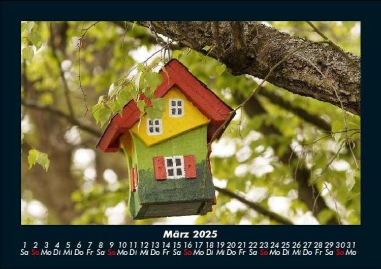 Produktbild: Natur 2025 Fotokalender DIN A5