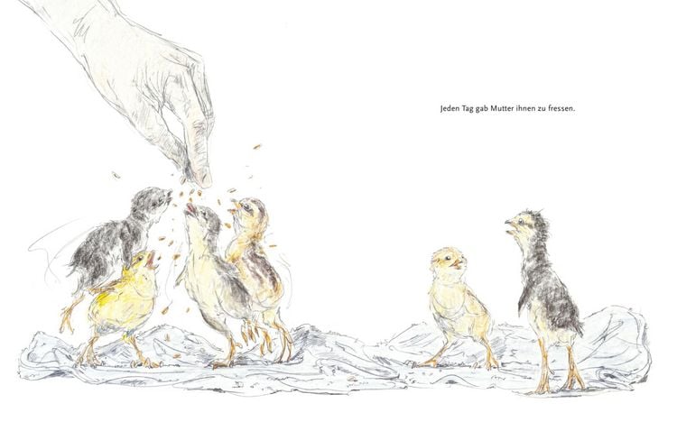 Produktbild: Chick