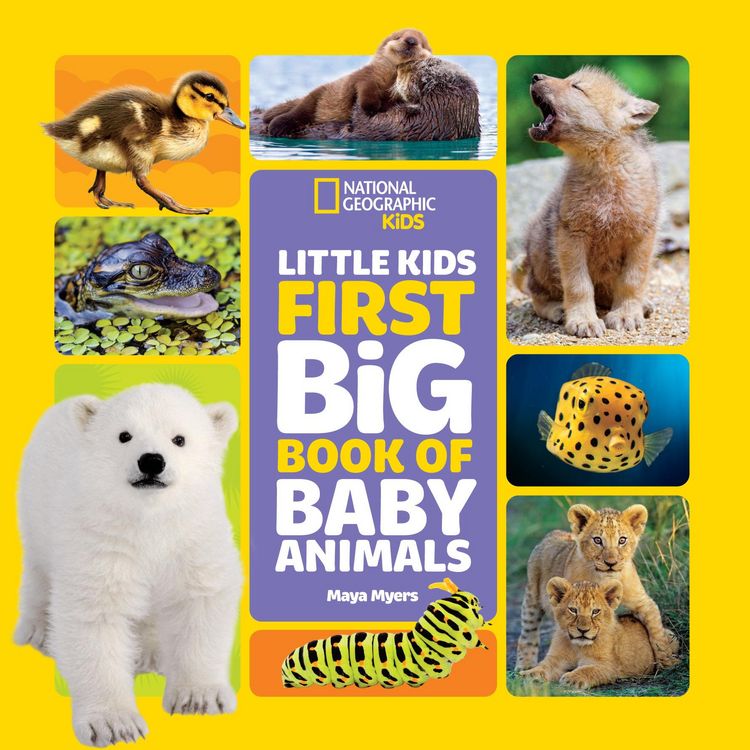 Produktbild: National Geographic Little Kids First Big Book of Baby Animals