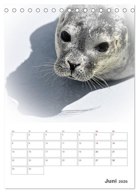 Produktbild: Texel - Momente die verzaubern (Tischkalender 2026 DIN A5 hoch), CALVENDO Monatskalender