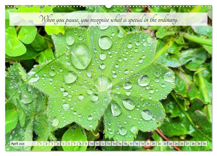 Produktbild: Breathe. See. Shift. Photographic and poetic inspiration for an alert life (High Quality Premium Wall Calendar 2026 DIN A2 landscape),CALVENDO 12 Mont
