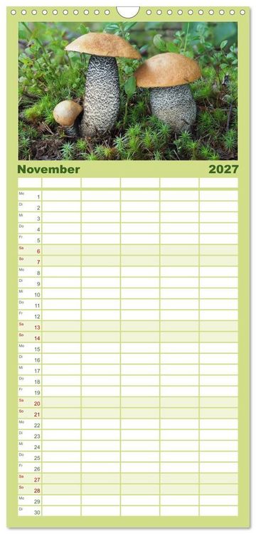 Produktbild: Familienplaner 2027 - Pilze - tolle Funde mit 5 Spalten (Wandkalender, 21 x 45 cm) CALVENDO