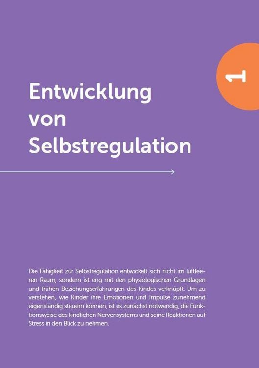 Produktbild: Selbst- und Co-Regulation verstehen und anwenden