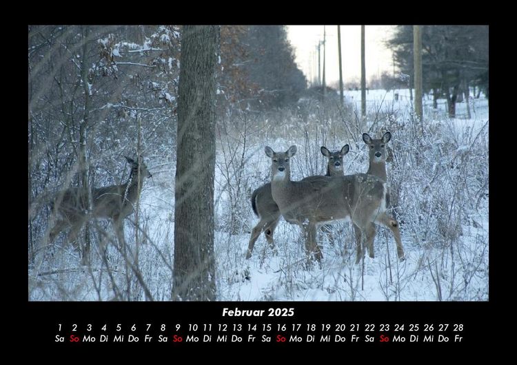 Produktbild: Winterzauber 2025 Fotokalender DIN A3