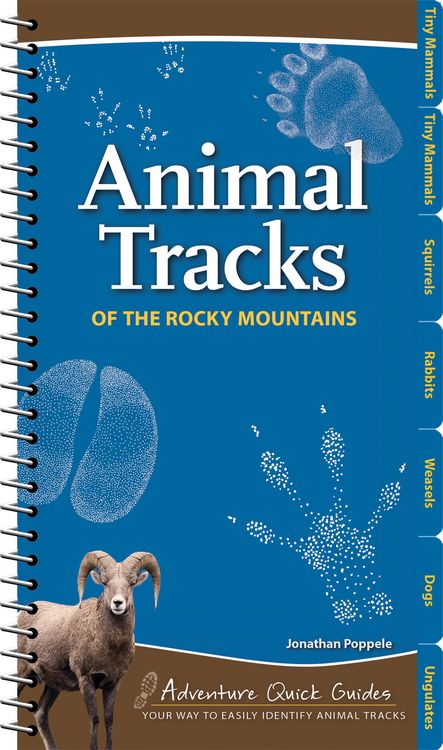 Produktbild: Animal Tracks of the Rocky Mountains