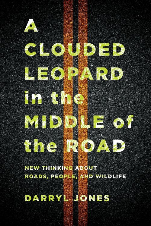 Produktbild: A Clouded Leopard in the Middle of the Road