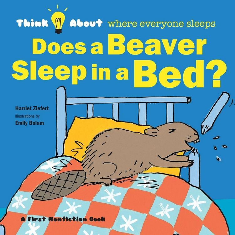 Produktbild: Does a Beaver Sleep in a Bed?