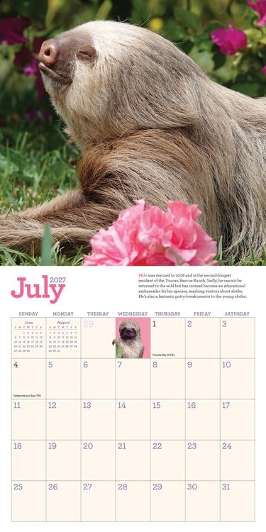 Produktbild: Original Sloths Mini Wall Calendar 2027