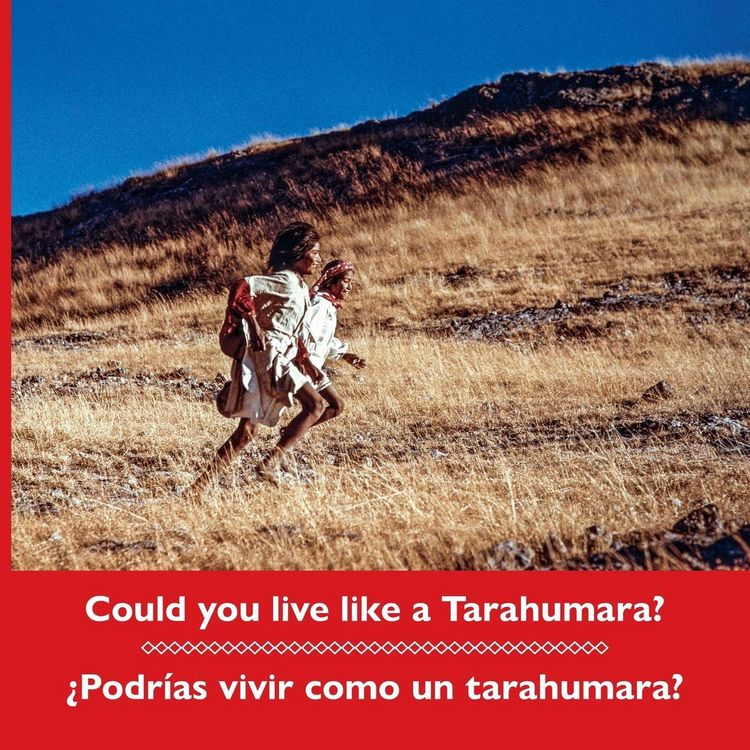 Produktbild: Could you live like a Tarahumara? &iquest;Podr&iacute;as vivir como un tarahumara? Bilingual Spanish and English