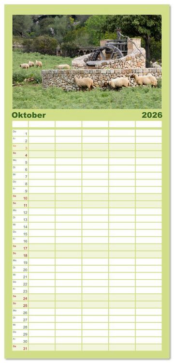 Produktbild: Familienplaner 2026 - Balearen - Mallorca, Menorca, Ibiza und Formentera mit 5 Spalten (Wandkalender, 21 x 45 cm) CALVENDO
