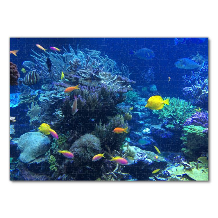 Lais Puzzle 1000 Teile – Unterwasserwelt Korallen & Fische, Queensland Australien | Für Erwachsene