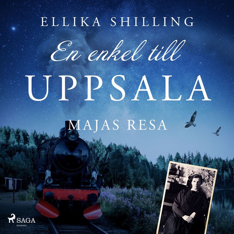 Produktbild: En enkel till Uppsala