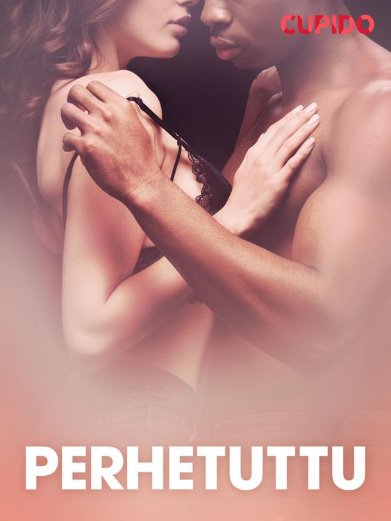 Produktbild: Perhetuttu - eroottinen novelli