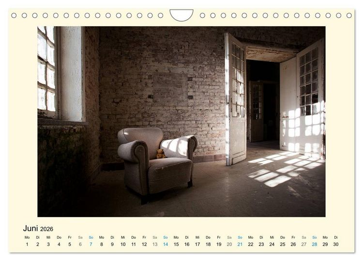 Produktbild: Herr B&auml;r urban explorer (Wandkalender 2026 DIN A4 quer), CALVENDO Monatskalender