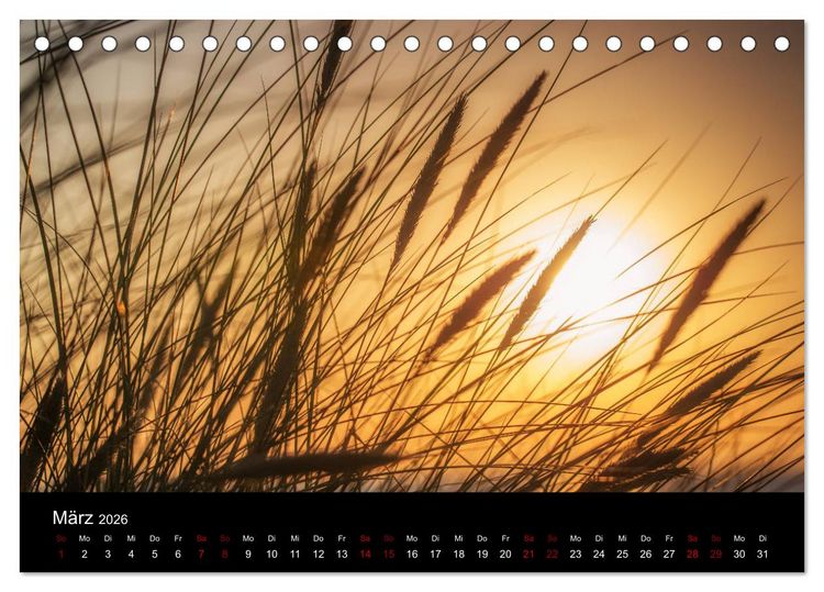 Produktbild: Wundersame Natur in Deutschland (Tischkalender 2026 DIN A5 quer), CALVENDO Monatskalender