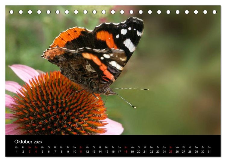 Produktbild: Heimische Schmetterlinge (Tischkalender 2026 DIN A5 quer), CALVENDO Monatskalender
