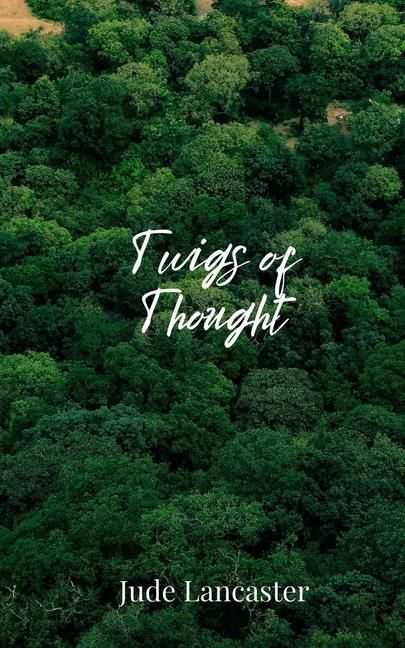 Produktbild: Twigs of Thought